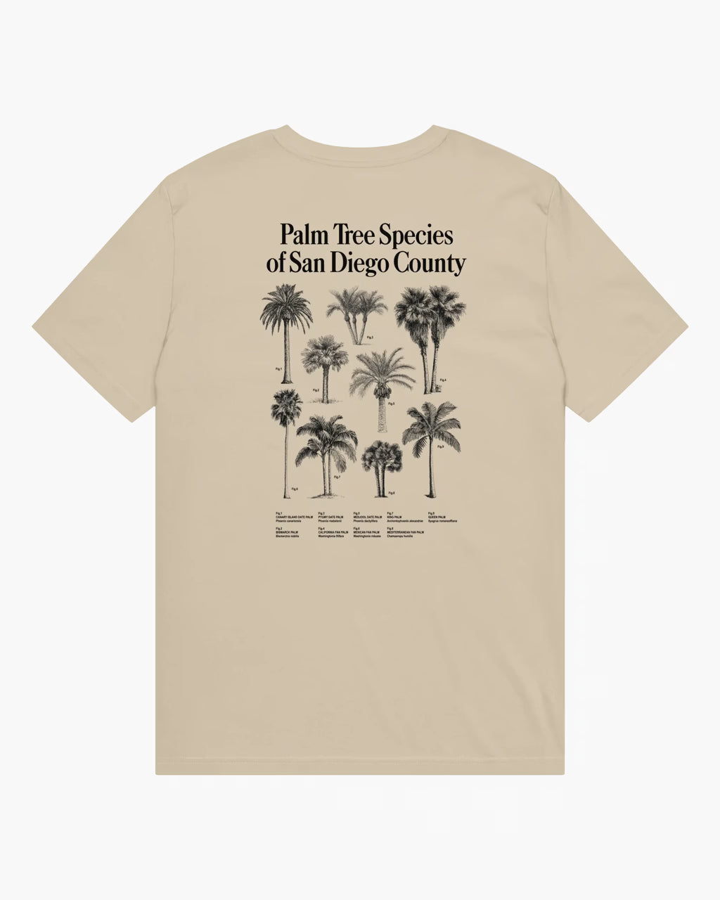 San Diego Palm Trees T-Shirt