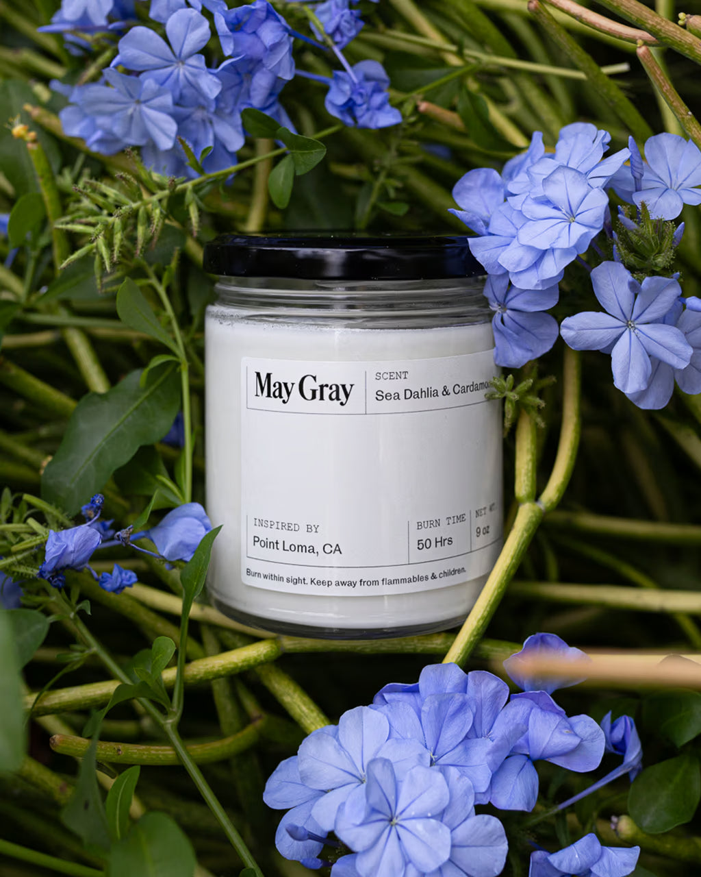 Point Loma Candle - Sea Dahlia & Cardamom
